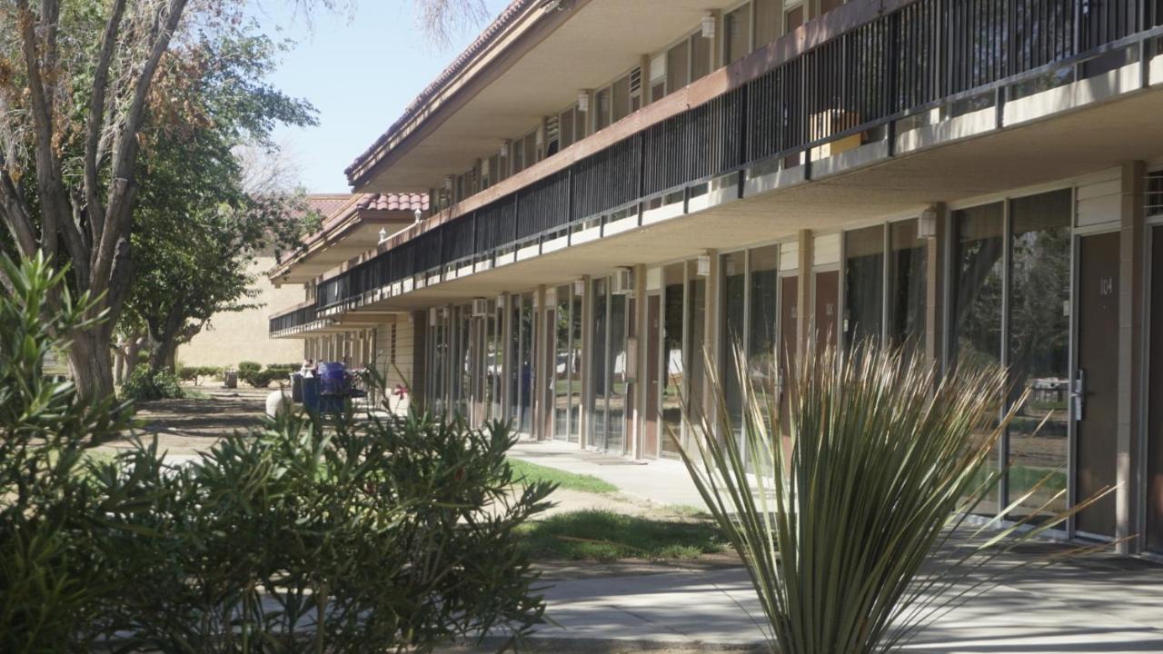 Motel Tree And Extended